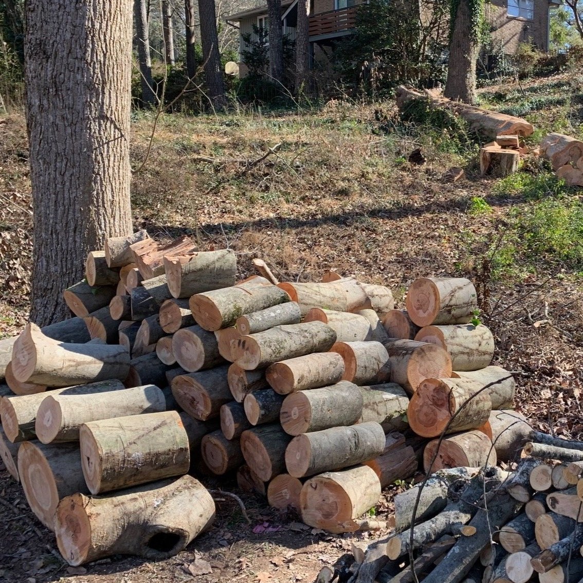 Storm Debris Cleanup